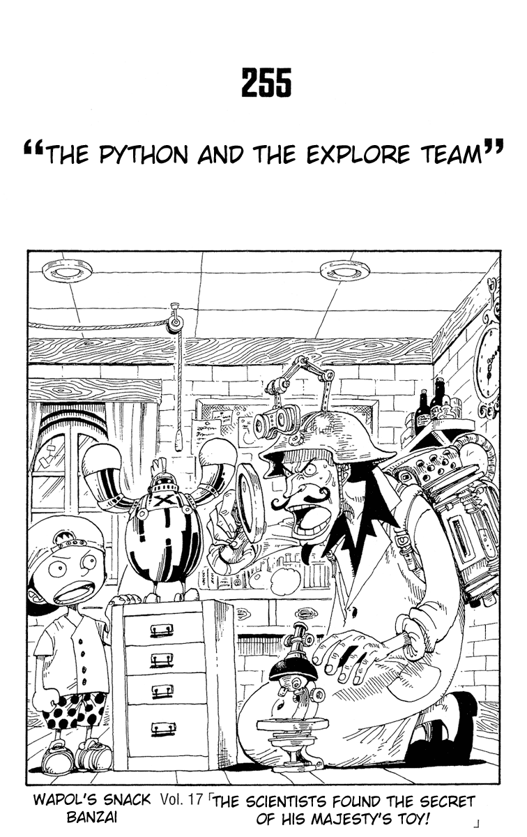 One Piece, Chapter 255 image 01